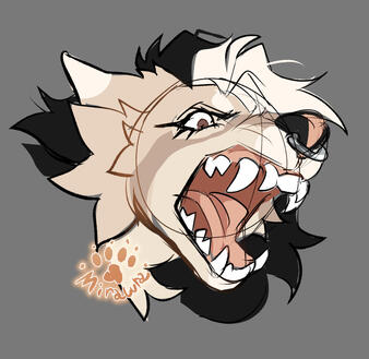 Icon Sketch